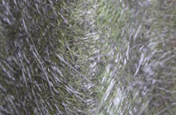 Vernham Row fibreglass roof work